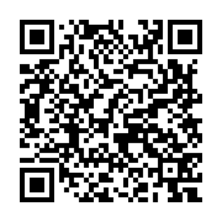 QR code for BOR973