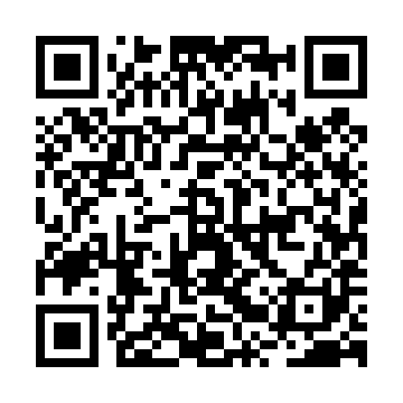QR code for BRU481