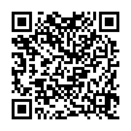 QR code for BZH384