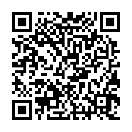 QR code for CAG306