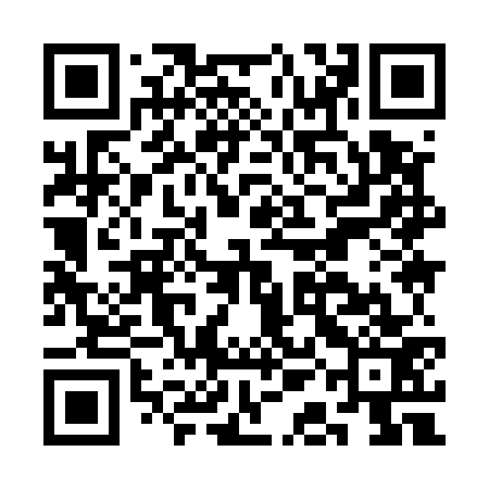 QR code for CAI573