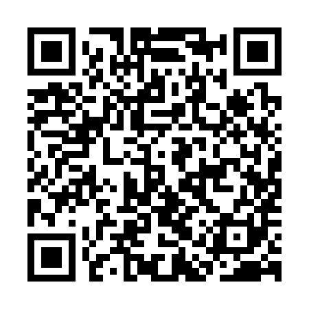 QR code for CAQ381