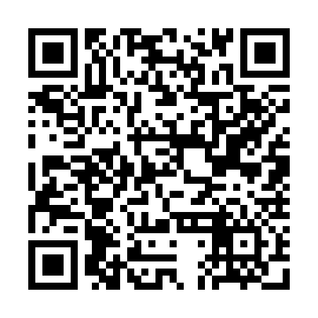 QR code for CDG336