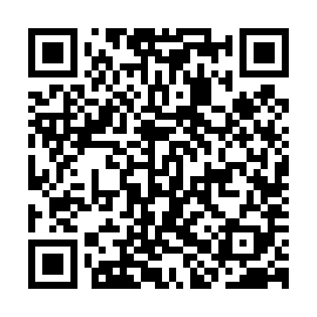 QR code for CHV489