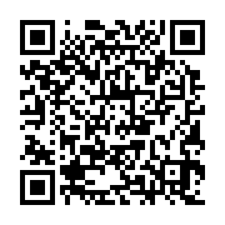 QR code for CME333