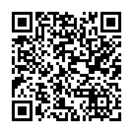 QR code for CNN317