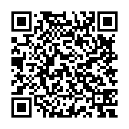QR code for CSE838