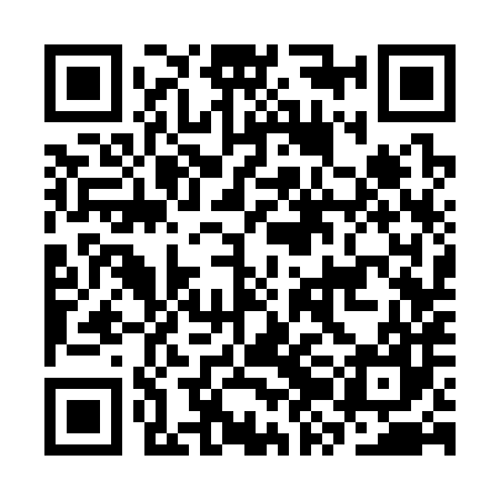 QR code for CZC387