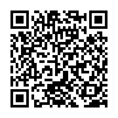 QR code for DEI228