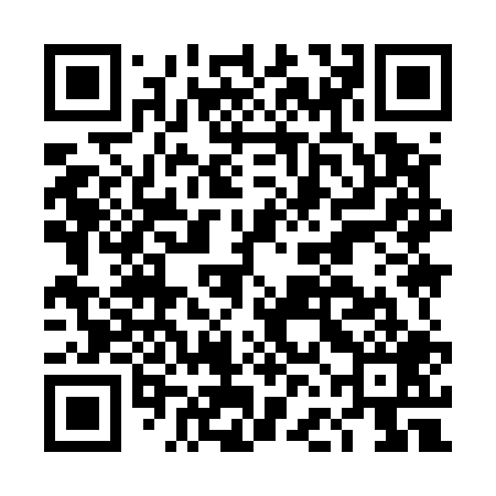 QR code for DFI509