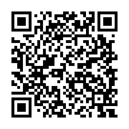 QR code for DFN196