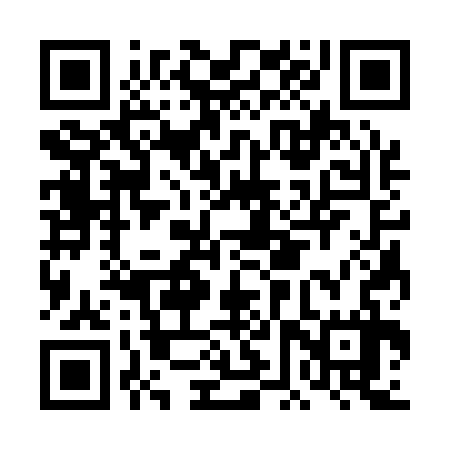QR code for DFS137