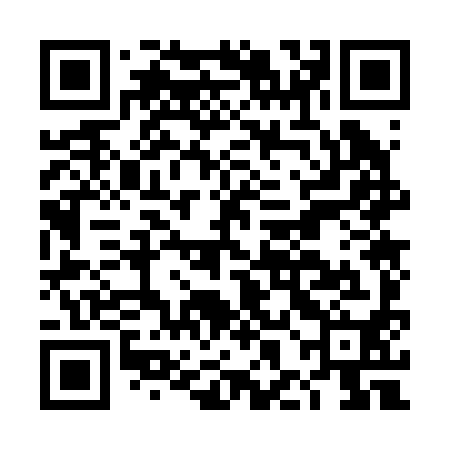 QR code for DHO290