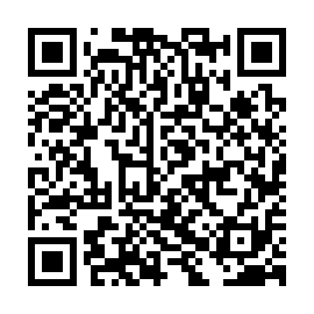 QR code for DHV311