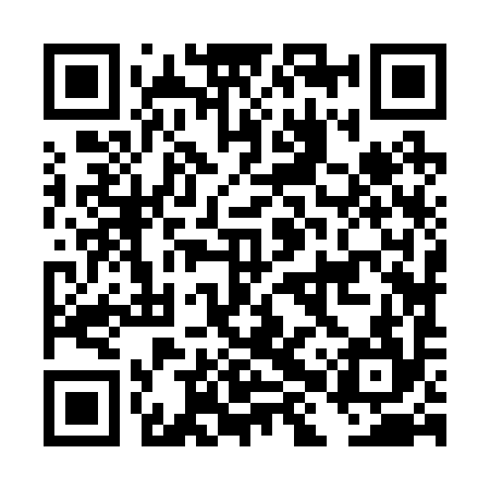 QR code for DHZ294