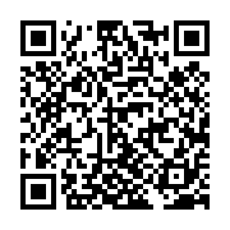QR code for DID410