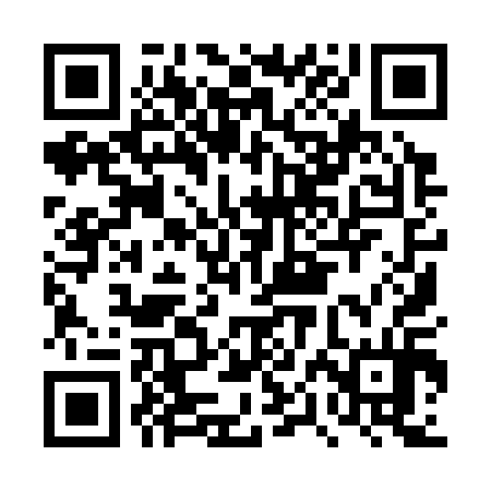 QR code for DPI314