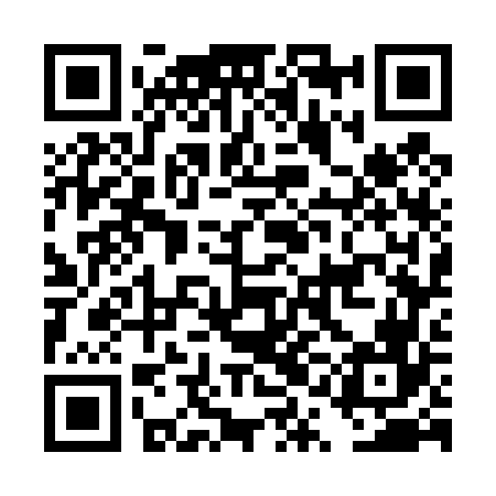 QR code for DQG466