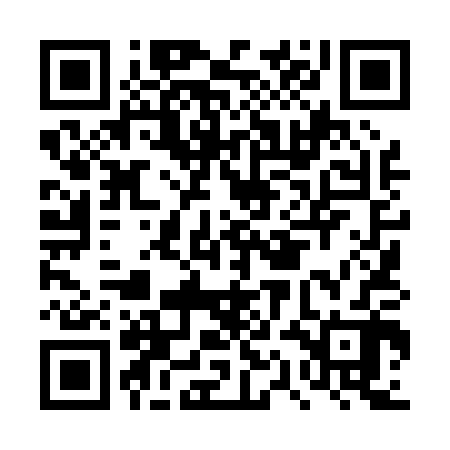 QR code for DQL002