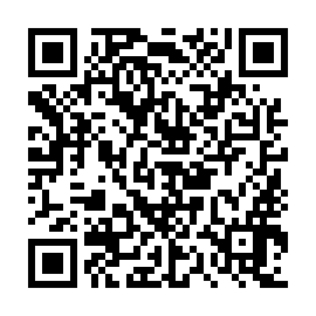 QR code for DQN596