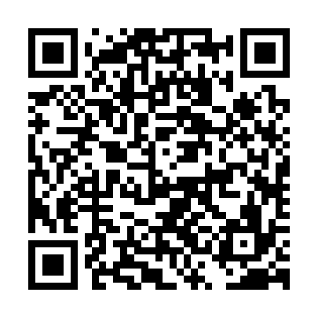 QR code for DSB336