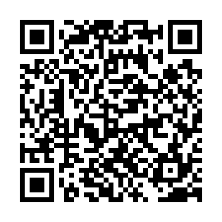 QR code for DSG734