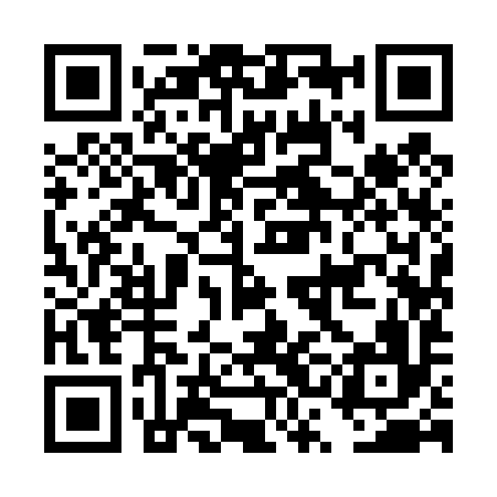 QR code for DSI496