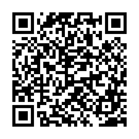 QR code for DSM046
