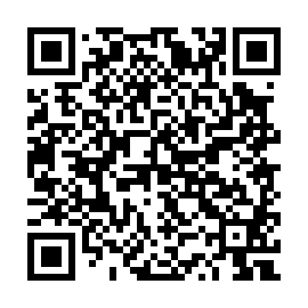 QR code for DSP080