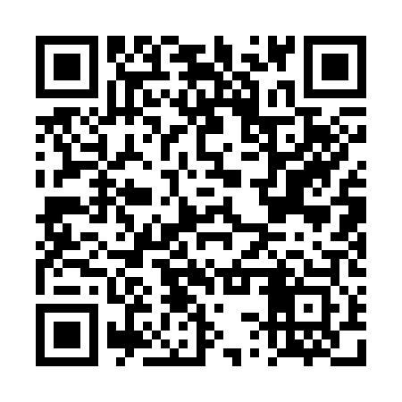 QR code for DSQ303