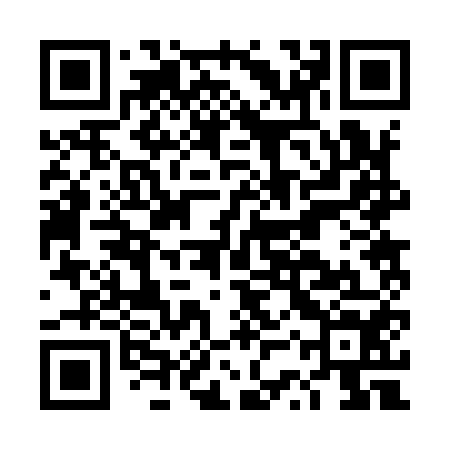 QR code for DSR954
