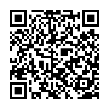 QR code for DST698