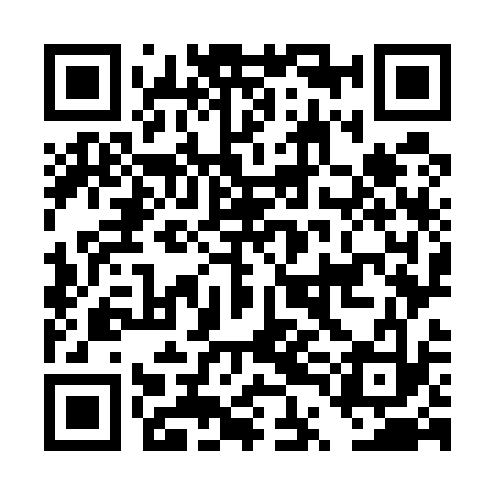 QR code for DTO533