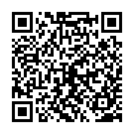 QR code for DUC384