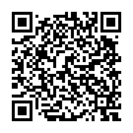 QR code for DVS493