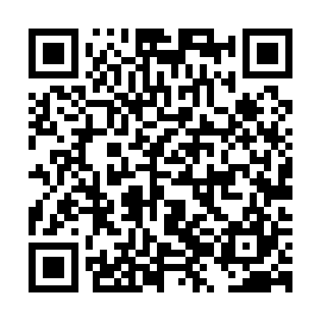 QR code for DZL127