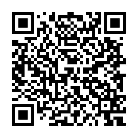 QR code for DZL565