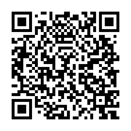 QR code for DZL775