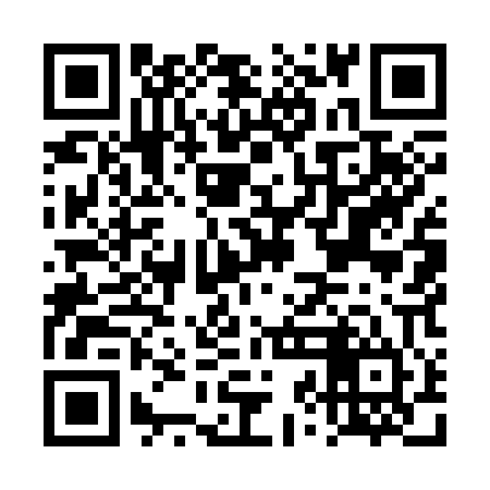 QR code for DZM304
