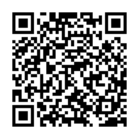 QR code for DZP151