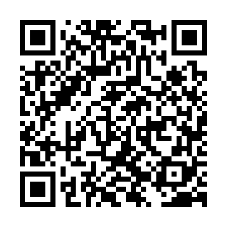 QR code for DZV368