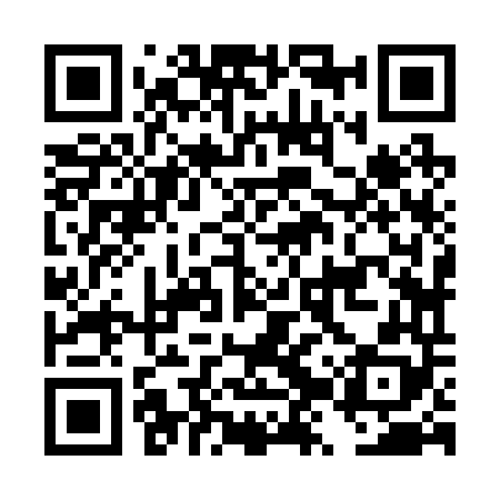 QR code for DZZ248