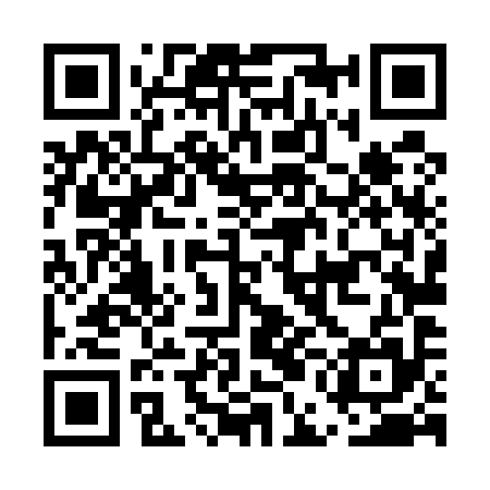 QR code for EEL595