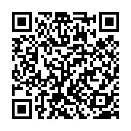 QR code for EFG438
