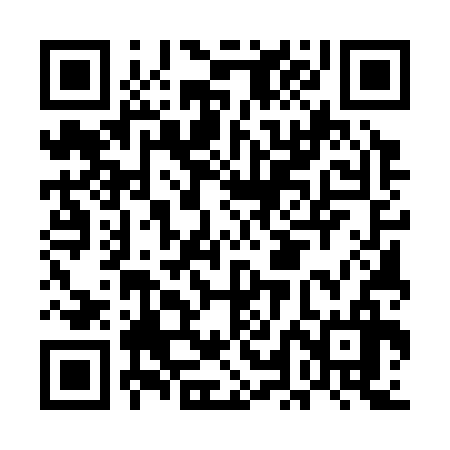 QR code for ELE336
