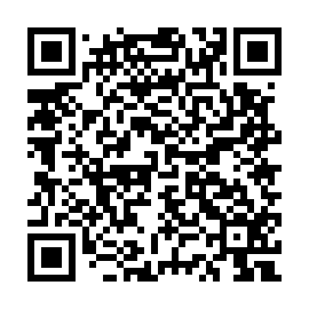 QR code for ESE516