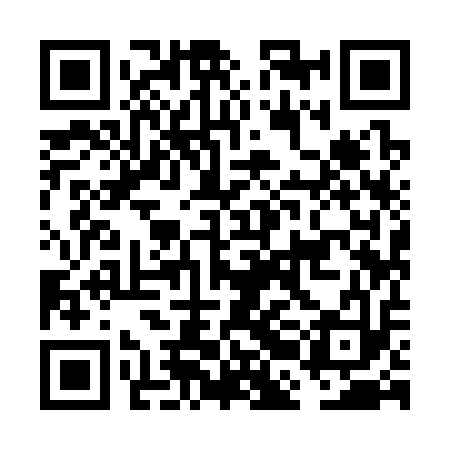 QR code for FBI313