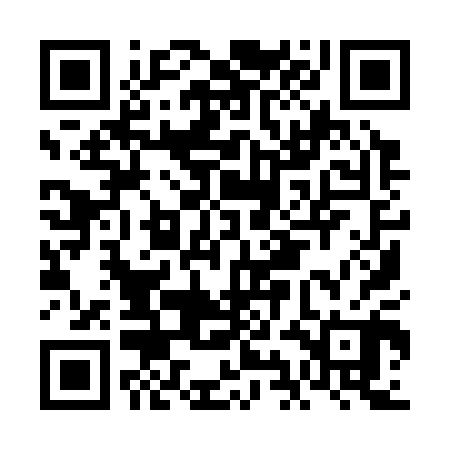 QR code for FII300
