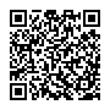 QR code for FJX687