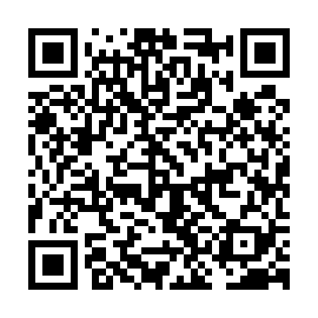QR code for FKI529